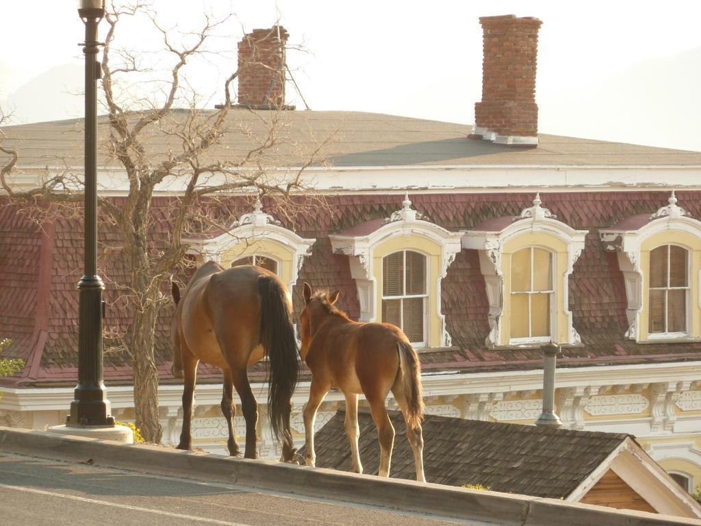 Sugarloaf Mountain Motel Virginia City Bagian luar foto
